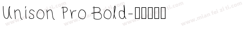 Unison Pro Bold字体转换